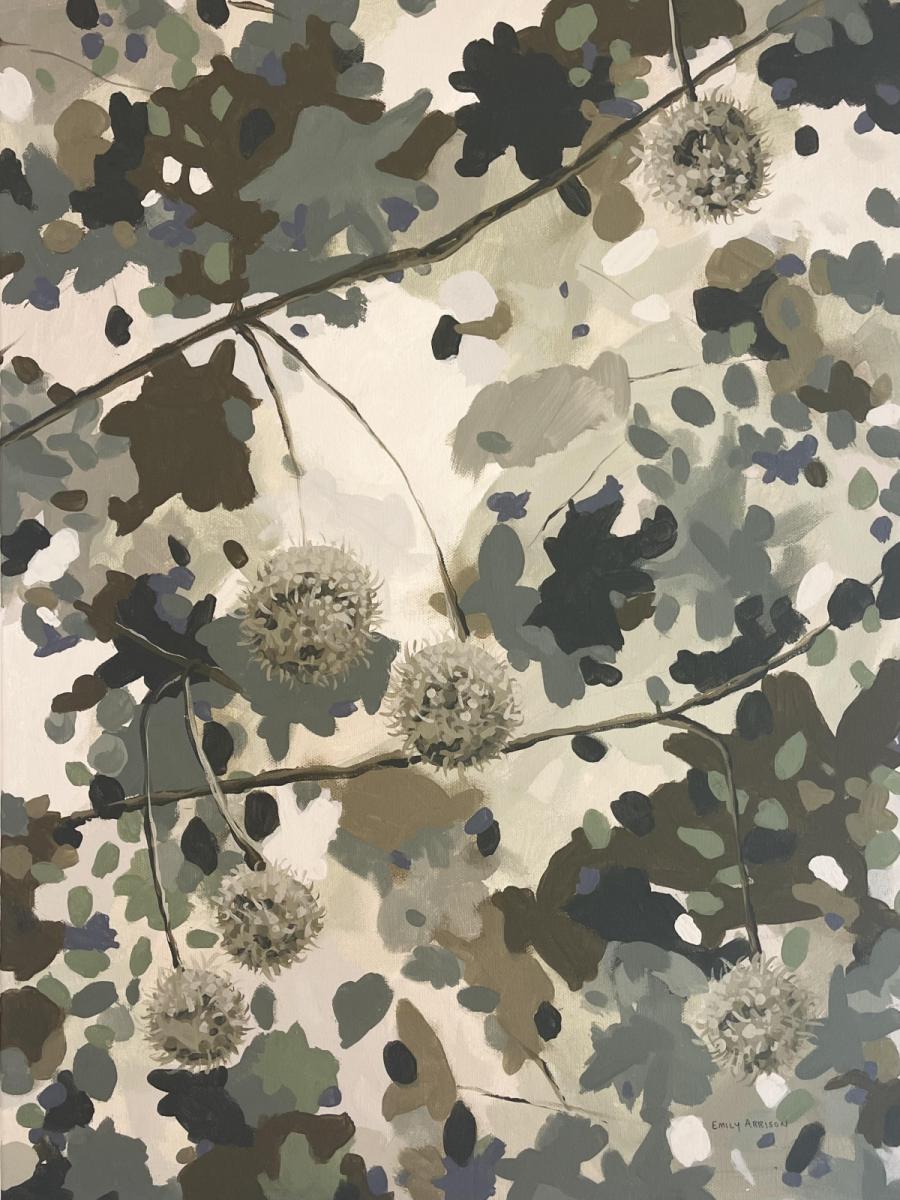 Looking Through My Sycamore Tree Original