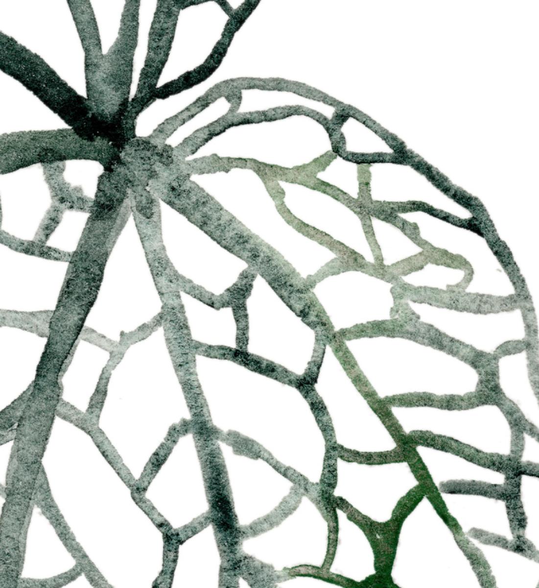 Begonia Print