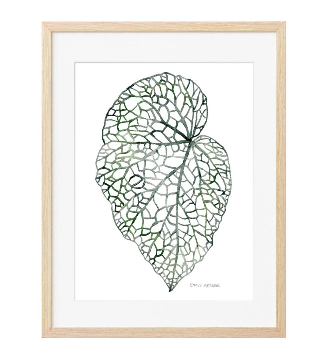 Begonia Print