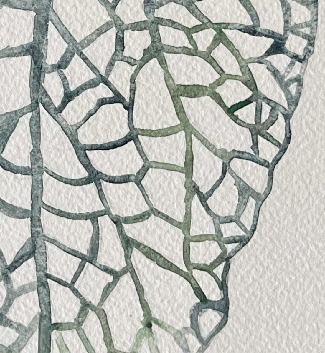 Begonia Original