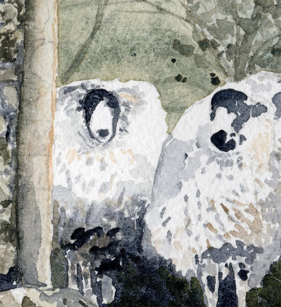 Cotswold Sheep Original