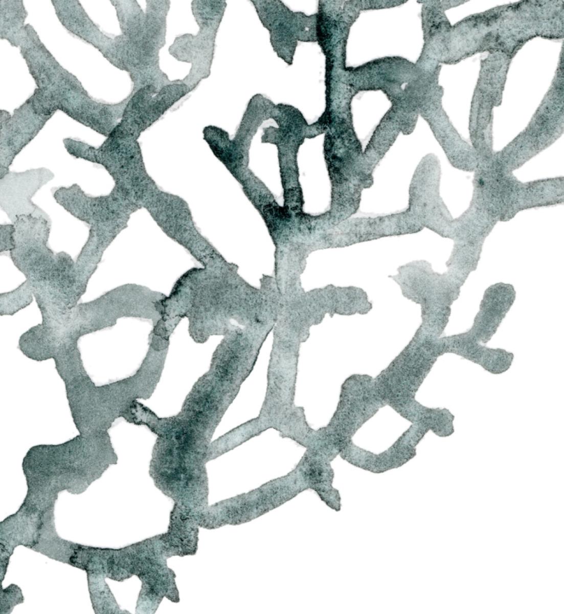 Sea Fan Original
