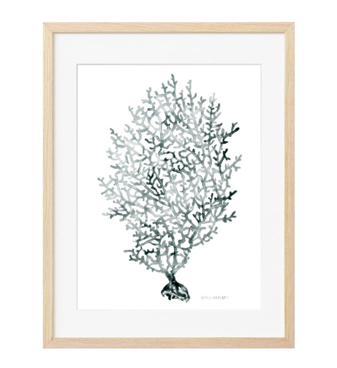 Sea Fan Original