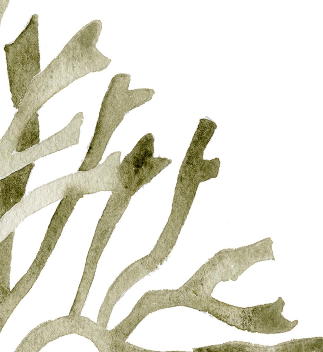 Kelp Print